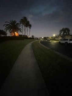 a long sidewalk in front of some palm trees at night