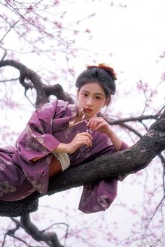 a woman in a purple dress sitting on a tree branch with cherry blossoms behind her