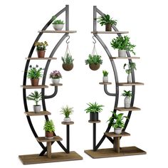 two shelves with potted plants on them and one shelf is shaped like an eye