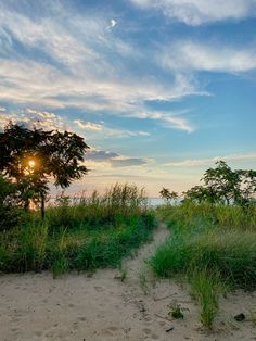 the sun shines brightly through the clouds above grass and trees on a sandy beach