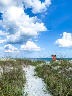 a path leading to the beach with tall grass on both sides and a lifeguard tower in the distance