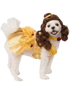 a small dog dressed up in a princess costume with long brown hair and yellow dress