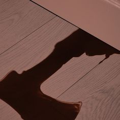 the shadow of a person's foot on a wooden floor