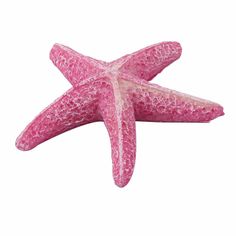 a pink starfish on a white background