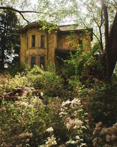 an old abandoned house surrounded by trees and flowers