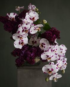 a vase filled with purple and white flowers