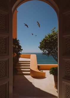 an open door leading to the ocean with birds flying in the sky and stairs on either side