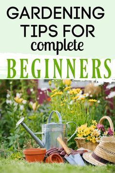 gardening tips for complete beginners