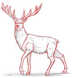 a drawing of a deer with red lines on it's face and antlers