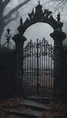 an old iron gate in the middle of a forest with foggy skies behind it