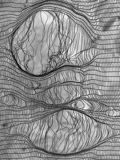 an abstract drawing with lines and curves