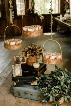 a bunch of luggage sitting on top of a wooden floor next to a potted plant