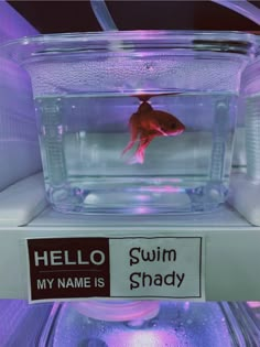 a goldfish in an aquarium with its name tag on it's side and the name my name is swim shady