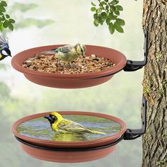 #ad 2x Bird Feeding Dish with Stand Round Mounted Bird Feeder Parrot Food Water Bowl Tree Deck, Hanging Bird Bath, Bird Bath Bowl, Bird Feeding Station, Diy Birds, How To Attract Birds, Humming Bird Feeders, Outdoor Decor Backyard