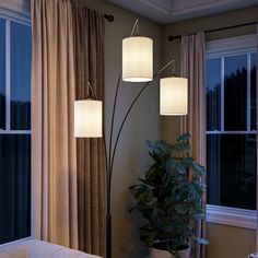 a living room scene with focus on the floor lamp and plant next to the window