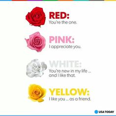 four roses with the words red you're the one pink i appreciate you white you're new in my life and i like that yellow i like you as a friend