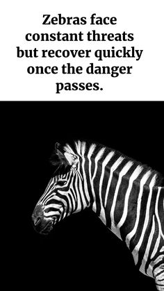 How Relief After Stress Can Help You Prevent Depression Ventral Tegmental Area, Nucleus Accumbens, Zebra Face, Mood Boost, Stressful Situations, Improve Mood, Coping Strategies, Negative Emotions