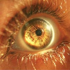 an eye with the iris partially closed and showing light coming in from it's center