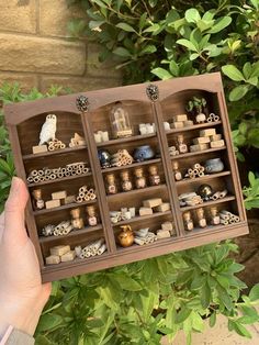 a person holding up a wooden shelf with various items on it