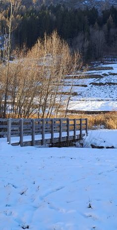 a wooden fence in the snow near some trees