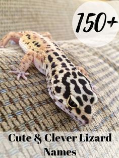 a gecko sitting on top of a couch with the words cute & clever lizard names below it