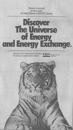 an advertisement for the university of energy and energy exchange, featuring a tiger sitting on its hind legs