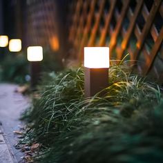 the lights are on in the grass by the sidewalk