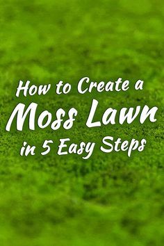 moss lawn with the title how to create a moss lawn in 3 easy steps on top