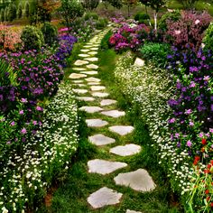 a pathway made out of stepping stones surrounded by flowers