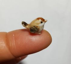 a tiny bird sitting on top of a finger