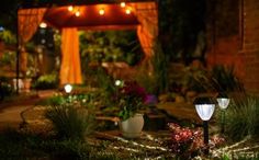 an outdoor area with lights and plants