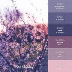 the color scheme is purple, blue and pink with some white flowers on it's branches