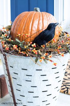 a black bird sitting on top of a basket filled with pumpkins