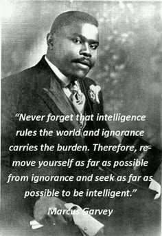 martin luther king with quote from the book never forget that intelilince rules the world and