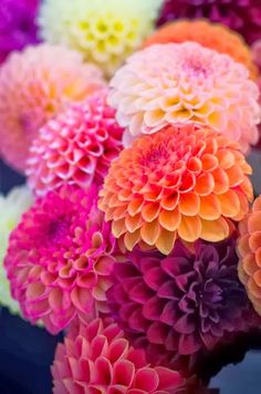 a bunch of flowers that are sitting on a table