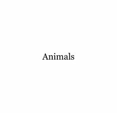 the words animals are written in black on a white background