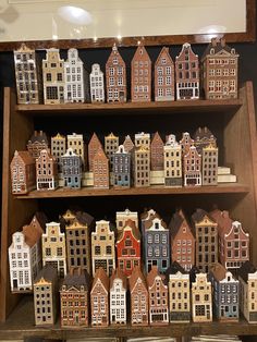 a shelf filled with lots of small wooden buildings