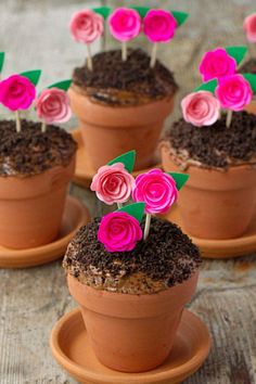 small potted plants with pink flowers in them sitting on plates and wooden table top