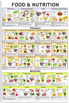 Food Groups Chart, Healthy Food Chart, Fertility Nutrition, Nutrition Chart, Protein Dinner, Food Health Benefits, Food And Nutrition