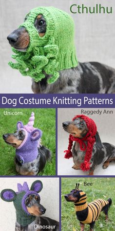 the dog is wearing knitted hats and scarves in different colors, sizes and patterns