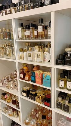 the shelves are filled with many different types of perfumes