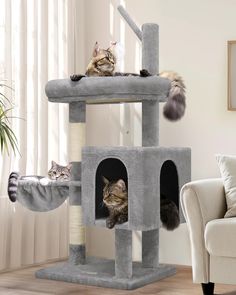 two cats laying on top of a cat tree in a living room next to a couch