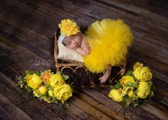 This beautiful sunshine yellow tutu set would make a great outfit for getting photos done or a birthday party! Handmade with lots of high-quality USA tulle on a non- roll elastic waistband. Adorned with a chiffon puff flower lace headband and a pretty rhinestone. Photos done by the talented Abba Color Photography- https://www.abbacolorphotography.com/ If you would like a different color please color at checkout or message me. Yellow Tutu Skirt, Sunflower Tutu, Tutu Cakes, Foto Props, Yellow Tutu, Sunflower Headband, Newborn Tutu, Handmade Tutu