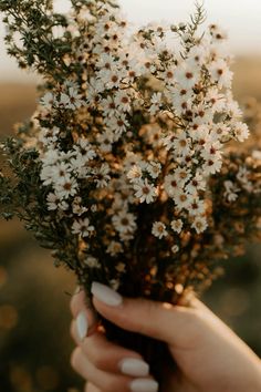 a woman's hand holding a bunch of white flowers