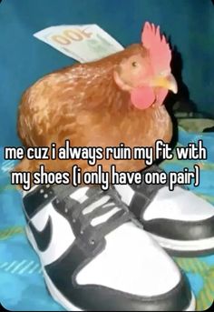 a chicken sitting on top of a pair of shoes with the words me cuz i always run my fit with my shoes only have one pair