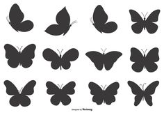 the silhouettes of butterflies are shown in black and white, each with different wings