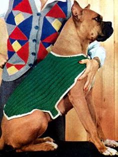 a dog is wearing a sweater and sitting next to a man in a green skirt