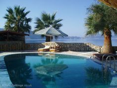 an empty swimming pool surrounded by palm trees