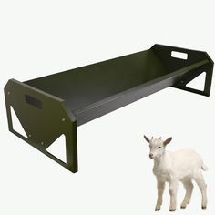 a baby goat is standing next to a metal shelf that has been built into it