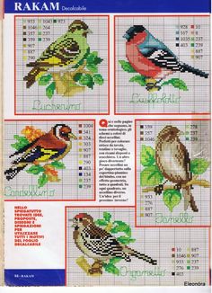 cross stitch pattern book with birds on the cover and numbers in each row, including one bird